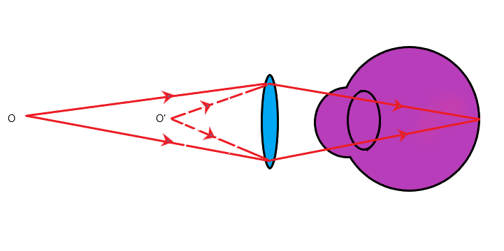 Chapter 11 science class 10 solution nCERT solution